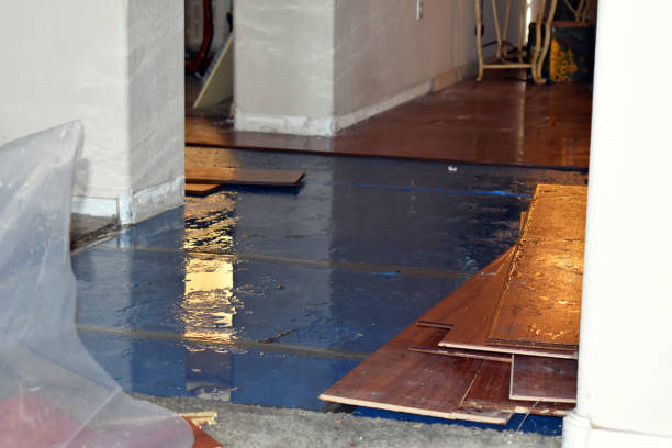Professional Burst Pipe Cleanup technician working in Lonedell, MO